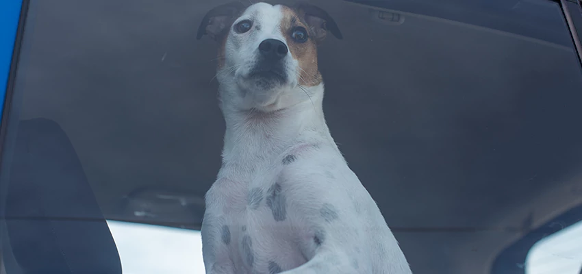 Car Lockout Solutions in Azusa, California